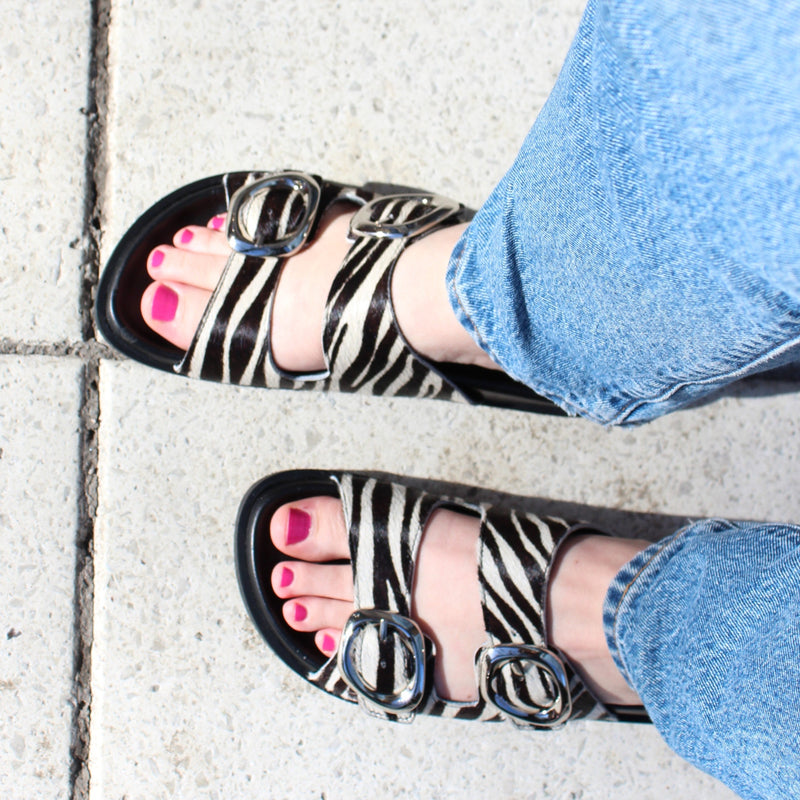 Zinnia Sandal- Zebra